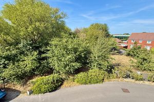 Outlook from lounge- click for photo gallery